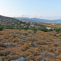 Land plot in Greece, 8200 sq.m.