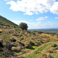 Land plot in Greece, 15850 sq.m.