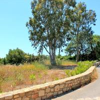 Land plot in Greece, 850 sq.m.