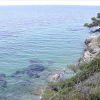 Land plot in Greece, 12150 sq.m.