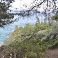 Land plot in Greece, 12150 sq.m.