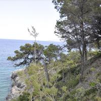 Land plot in Greece, 12150 sq.m.