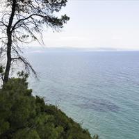 Land plot in Greece, 12150 sq.m.