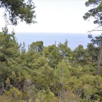 Land plot in Greece, 12150 sq.m.