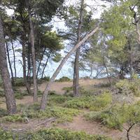 Land plot in Greece, 12150 sq.m.