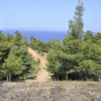 Land plot in Greece, 12150 sq.m.
