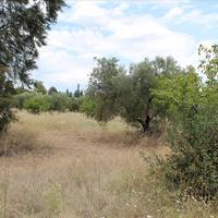 Land plot in Greece