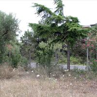 Land plot in Greece