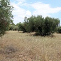 Land plot in Greece