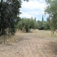 Land plot in Greece