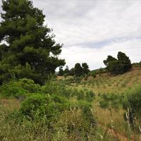 Land plot in Greece