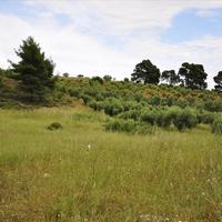 Land plot in Greece