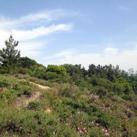 Земельный участок в Греции