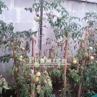 House in Bulgaria, Burgas Province, 35 sq.m.