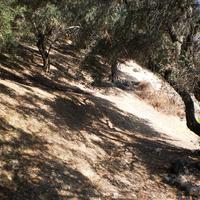 Земельный участок в Греции