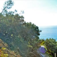 Земельный участок в Греции, 4420 кв.м.