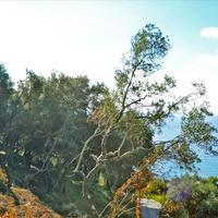 Земельный участок в Греции, 4420 кв.м.