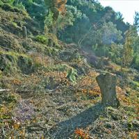 Земельный участок в Греции, 4420 кв.м.