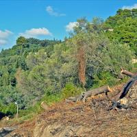 Земельный участок в Греции, 4420 кв.м.