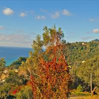 Земельный участок в Греции, 4420 кв.м.