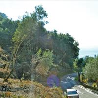 Земельный участок в Греции, 4420 кв.м.