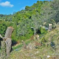 Земельный участок в Греции, 4420 кв.м.