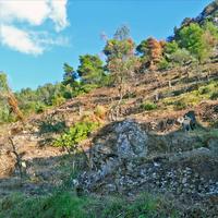 Земельный участок в Греции, 4420 кв.м.