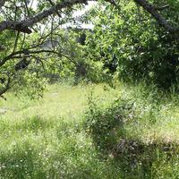 Земельный участок в Греции