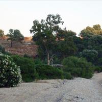 Земельный участок в Греции, 150000 кв.м.