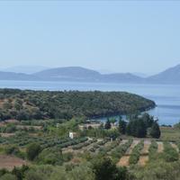 Земельный участок в Греции, 150000 кв.м.