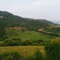 Земельный участок в Греции, 11300 кв.м.