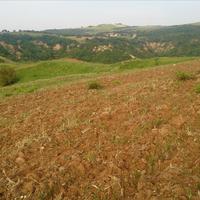 Земельный участок в Греции, 15600 кв.м.