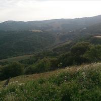 Земельный участок в Греции, 15600 кв.м.