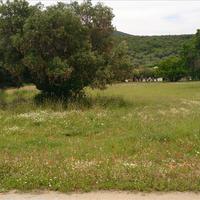 Land plot in Greece, 1280 sq.m.