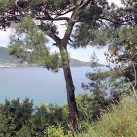 Земельный участок в Греции