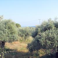 Land plot in Greece