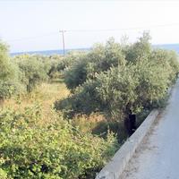 Land plot in Greece