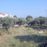 Land plot in Greece