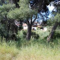 Земельный участок в Греции