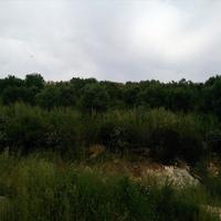 Land plot in Greece, 4000 sq.m.