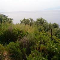Land plot in Greece, 4000 sq.m.
