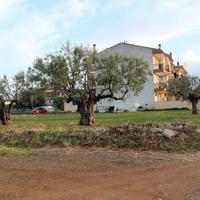Land plot in Greece, 435 sq.m.