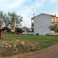 Land plot in Greece, 435 sq.m.
