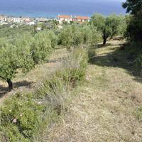 Land plot in Greece, 3750 sq.m.