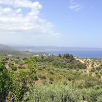 Land plot in Greece, 3750 sq.m.