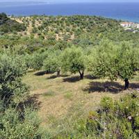 Land plot in Greece, 3750 sq.m.