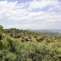 Land plot in Greece, 3750 sq.m.