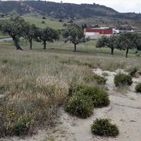 Земельный участок в Греции, 4000 кв.м.