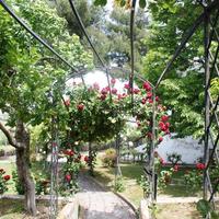 Villa in Greece, 450 sq.m.