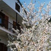 Business center in Greece, 230 sq.m.